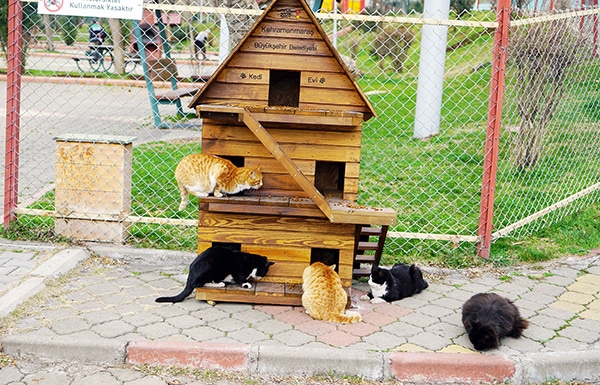 Kahramanmaraş Büyükşehir Belediyesi, sokak