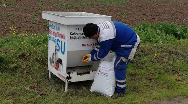 Sokak Hayvanları Unutulmadı