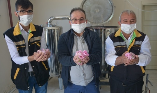 Afşin’de 30 Dekarlık Alana Ekilen Hoş Kokulu Güllerin Hasadı Yapıldı