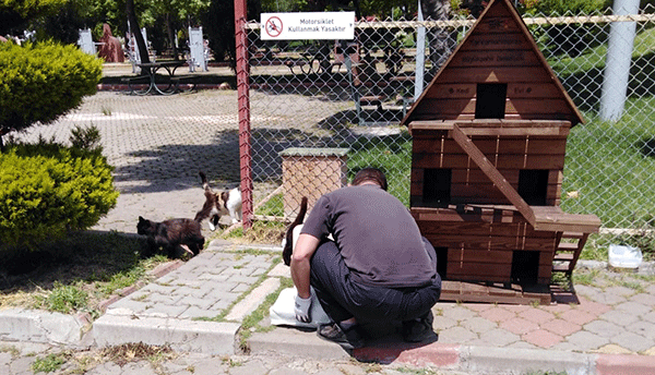 Kedi ve köpek evlerine mamalar bırakılıyor