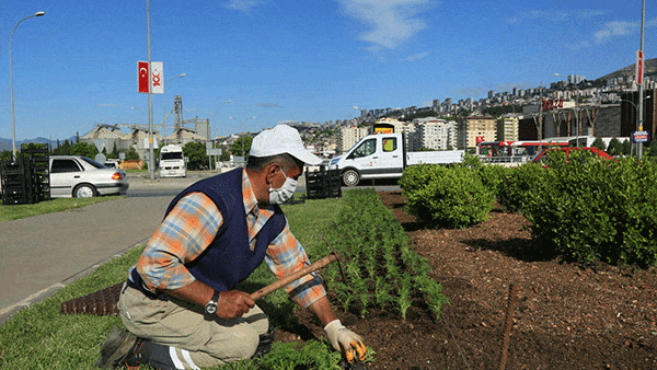 Mevsimlik çiçek dikimi başladı