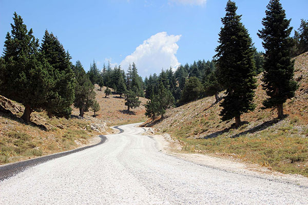 Kahramanmaraş Büyükşehir Belediyesi yol