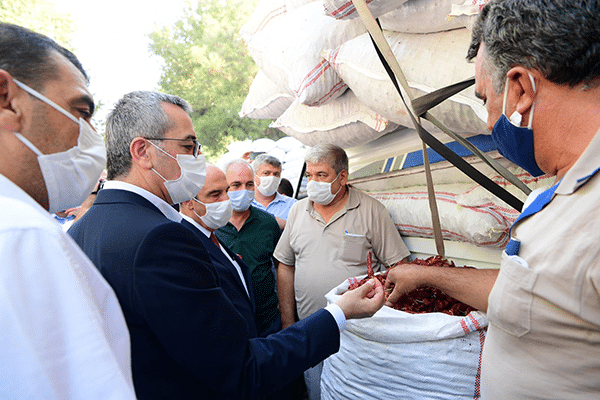 Maraş Biberi’nin İlk Hasadı Yapıldı