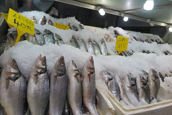 Kahramanmaraş’ta Balık Fiyatları Cep Yakıyor