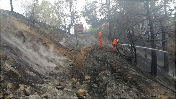 Kahramanmaraş’ın Göksun İlçesinde Orman Yangını