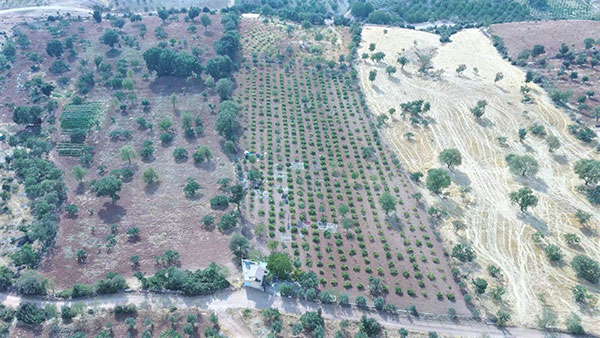 Pazarcıkta Kaçak Su Kullanan Cami Görevlisine Ceza