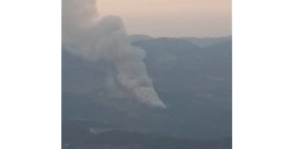 Kahramanmaraş’ta Orman Yangını