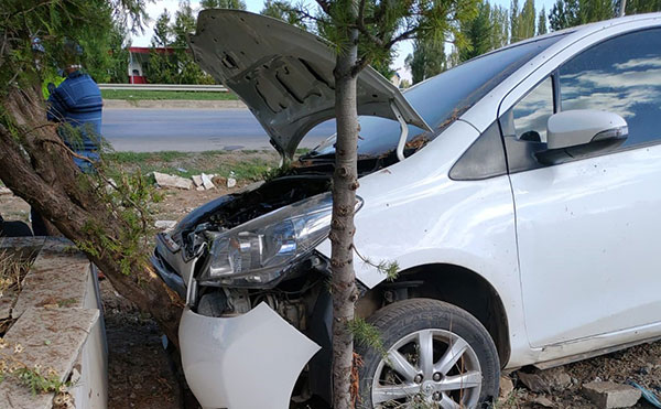 Kaz Sürüsüne Çarpmamak İçin Ağaca Çarptı 2 Sağlık Çalışanı Yaralandı