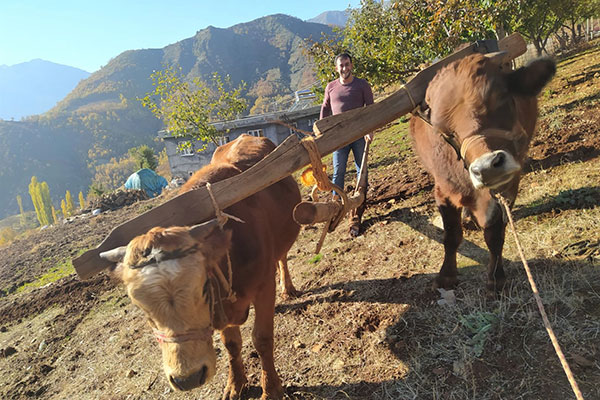 Kahramanmaraş’ta kırsal mahallerde halen