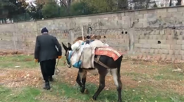 80 yaşında hurdacılık yaparak