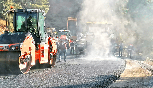 Büyükşehir Belediyesi, Bertiz bölgesinin