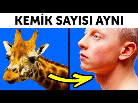 Ne imkânsızdır, biliyor musunuz? Burnunuzu sıkıp kapatarak şarkı mırıldanmak. Cidden,