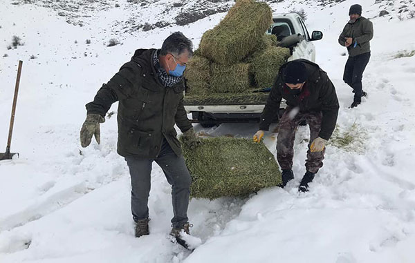 Besleme Çalışmalarında Kaçak Av Yapan 3 Kişi Yakalandı