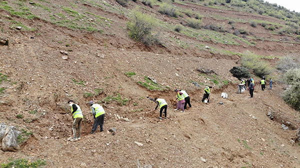 Başkan Okumuş; Yemyeşil Bir Türkoğlu İçin Çalışıyoruz