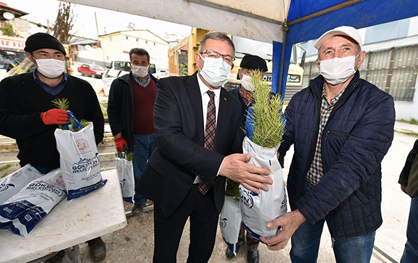 Daha Yeşil Bir Göksun İçin 50 Bin Fidan Dağıtıldı