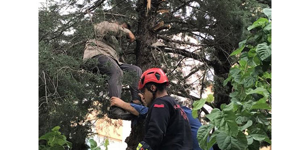 Kahramanmaraş’ta budama yapmak için