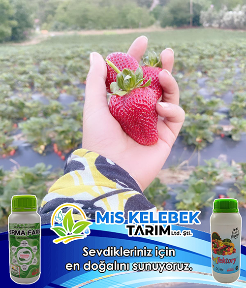 MIS KELEBEK TARIM BOLGE HALKININ HIZMETINDE1