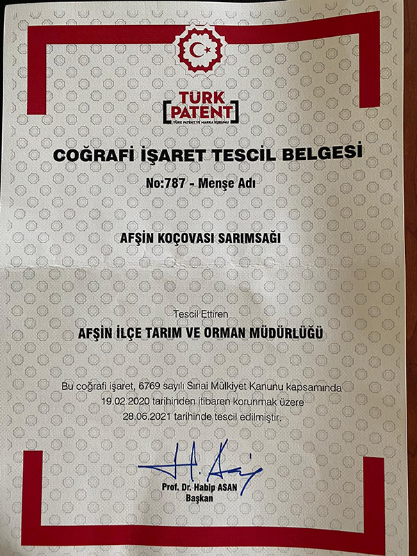 AFŞİN’DE YETİŞEN SARIMSAK COĞRAFİ İŞARET BELGESİ ALDI 