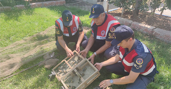 Kahramanmaraş’ta jandarma ekiplerince, yasa