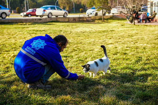 Elbistan Belediyesi çeşitli noktalara Sokak hayvanları için yem ve mama bıraktı