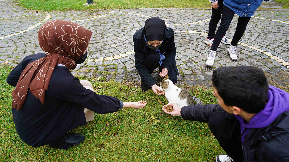 Sütçü İmam Üniversitesi İlahiyat