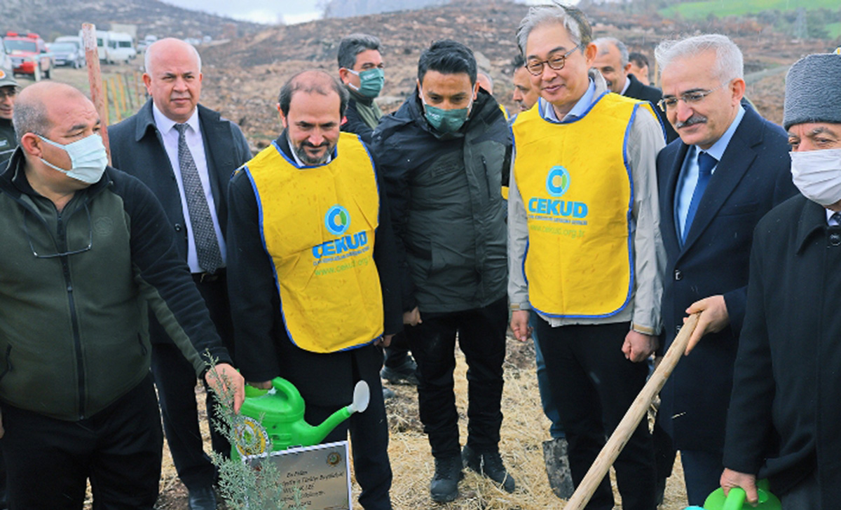 Antalya, Nevşehir, Kilis, İstanbul ve Muğla’da fidan dikimleri gerçekleştirilen Türkiye-Kore