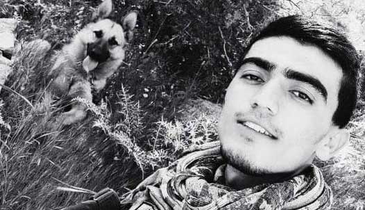 SEHIT FIRAT CANLI
