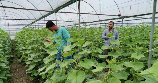 Kahramanmaraş’ta  seraları zarar gören çiftçilere 18 milyon destek