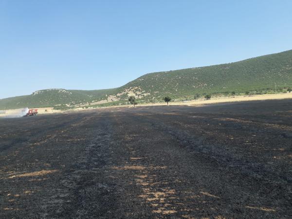 Pazarcık’ta buğday tarlası kül oldu