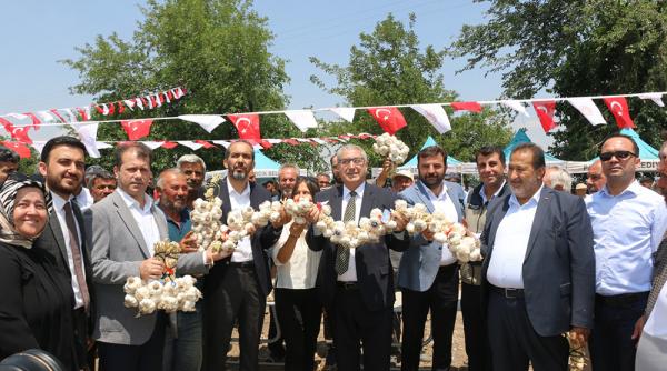 Pazarcık Sarımsağı festivali yapıldı