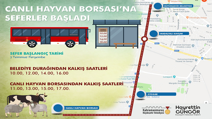Büyükşehir Belediyesi, kurbanlık alacak vatandaşların Canlı Hayvan Borsası’na ulaşım sağlayabilmesi