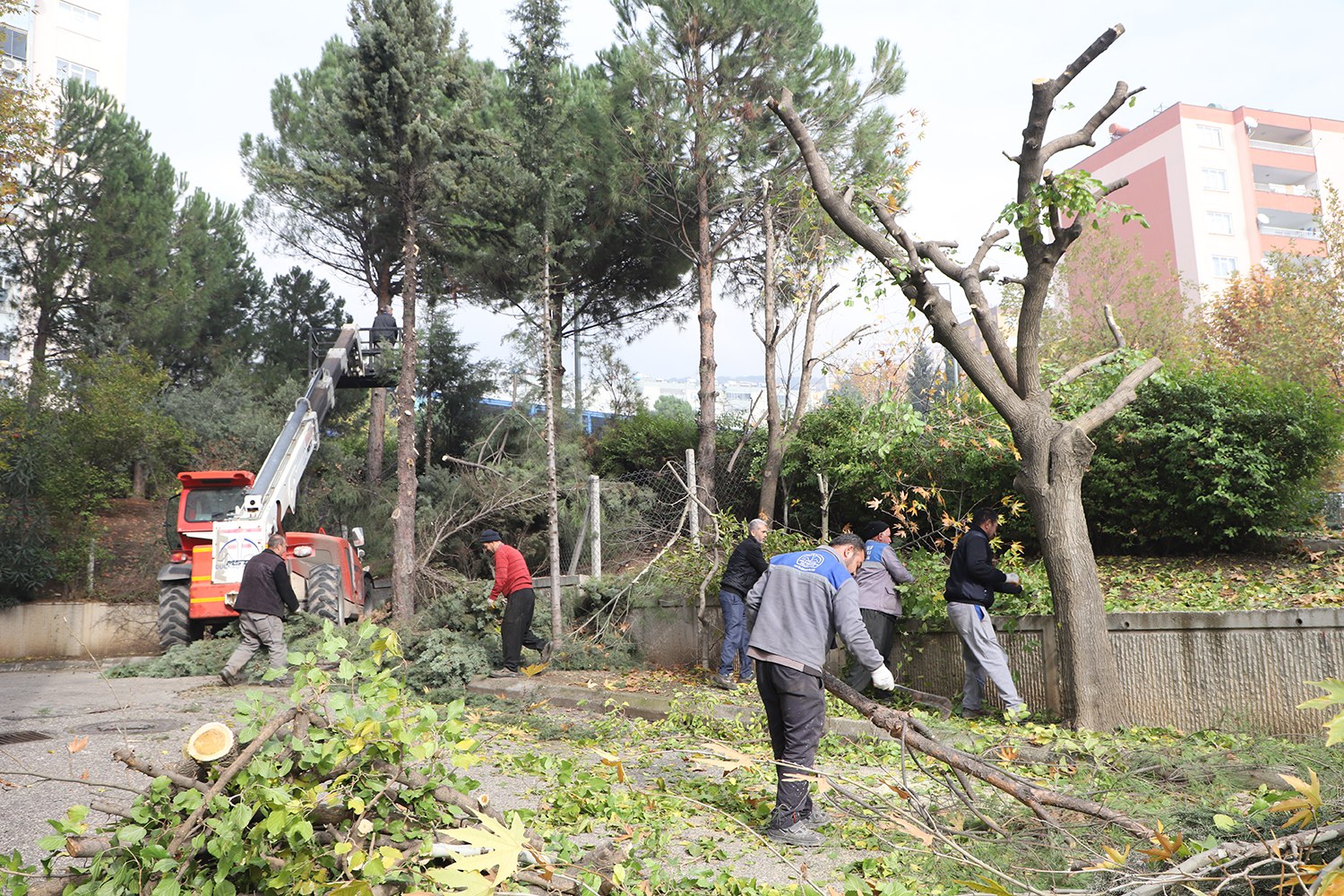 DULKADİROĞLU’NDA PARK VE BAHÇELER