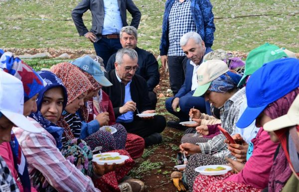 Güngör;“Tüm Sektörlerimizi Ayağa Kaldırıyoruz