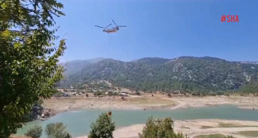 Orman yangınına müdahale sürüyor Yangının henüz çıkış sebebi bilinmezken, ilk belirlemelere göre yangında herhangi