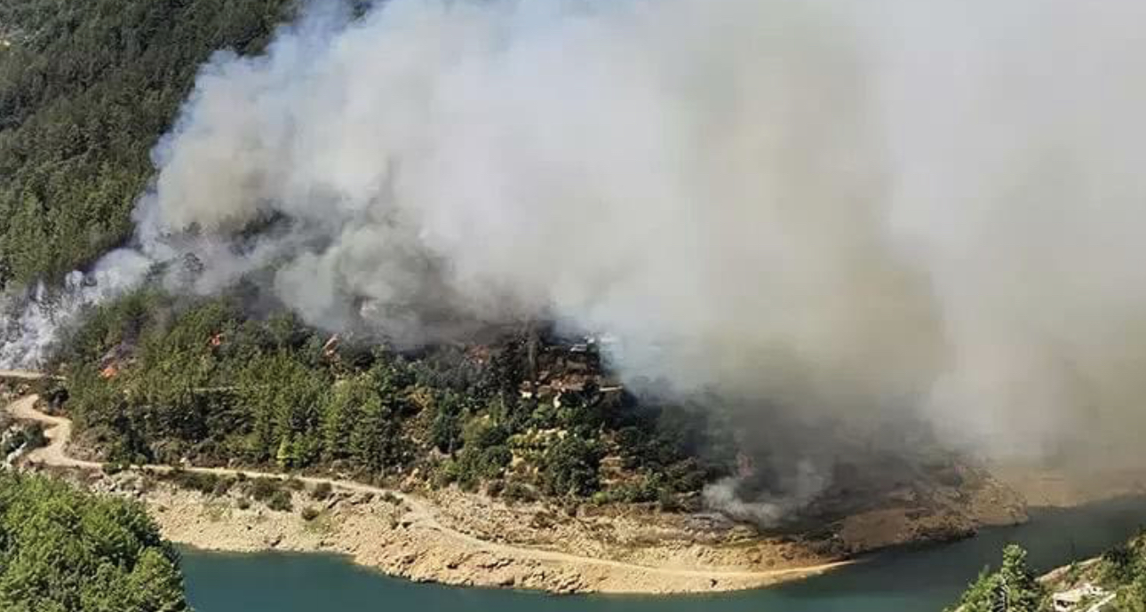 Alanya’da Orman Yangını Antalya’nın Alanya ilçesinde orman yangını çıktı. Yangın, rüzgarın etkisiyle yayılmaya