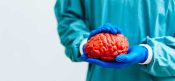 Beyin Kanamasının Nedenleri ve Risk Faktörleri