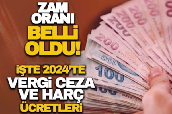 2024'te vergi, ceza, MTV