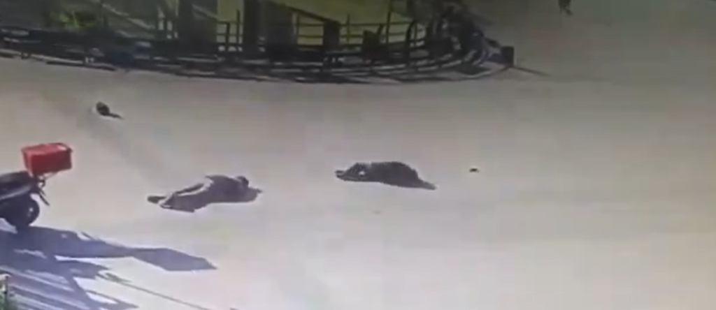 Ekran goruntusu 2024 02 06 124138