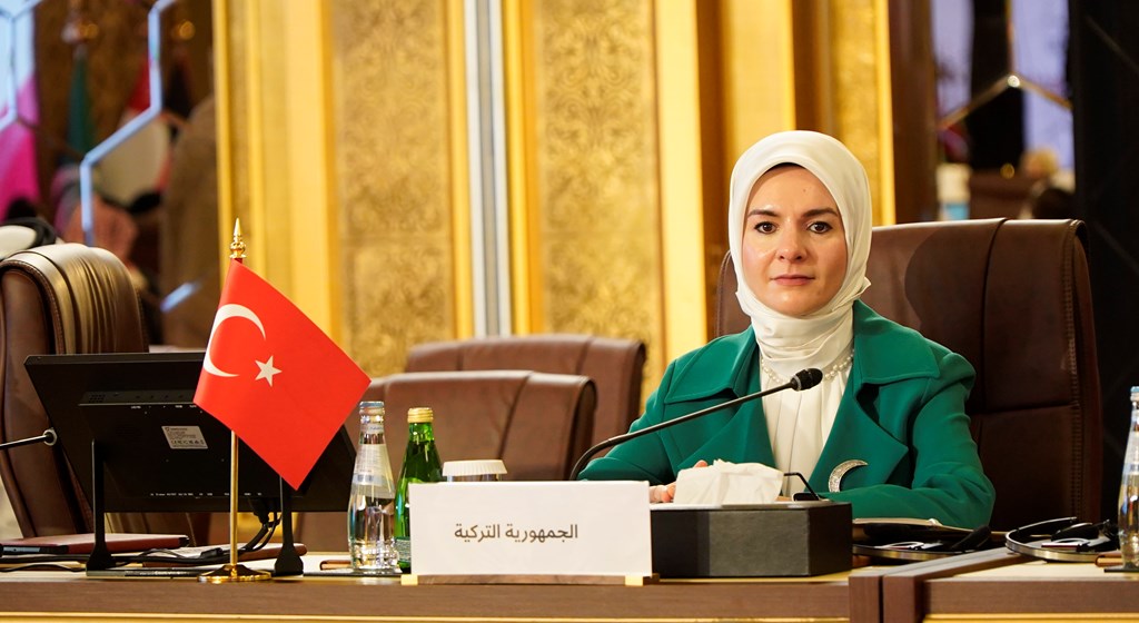 Göktaş, Türkiye’nin onur konuğu olduğu, Çok Boyutlu Sosyal Kalkınma İçin Arap