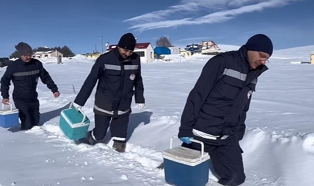 Ardahan İl Tarım ve Orman Müdürlüğü tarafından yürütülen ‘Buzağılar Ölmesin