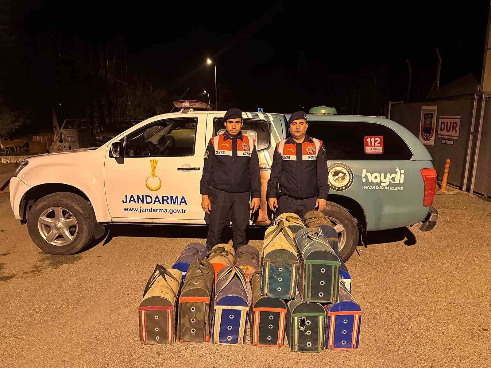 Manisa’nın Alaşehir ilçesinde horoz dövüşü yaptırılan bir iş yerine baskın