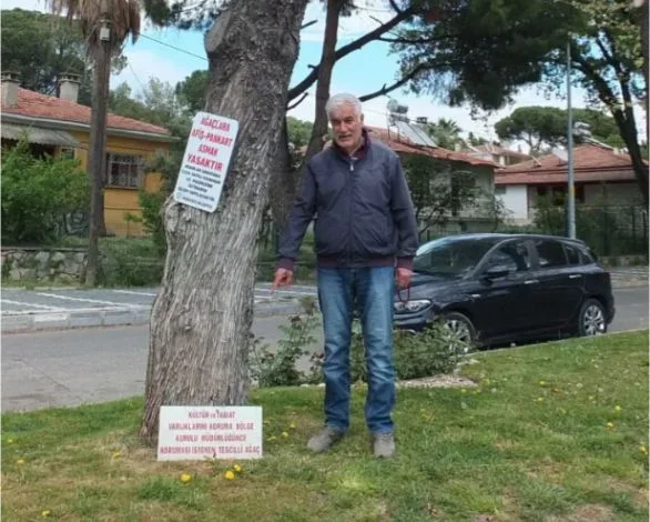 Burhaniye’de Kuruyan Ağacın Tabelası Görenleri Şaşırtıyor Balıkesir’in Burhaniye ilçesinde, kuruyan
