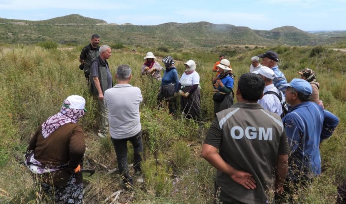 Antalya büyük yangının izleri siliniyor
Antalya Orman Bölge Müdürü Vedat Dikici 09.05.2024 günü