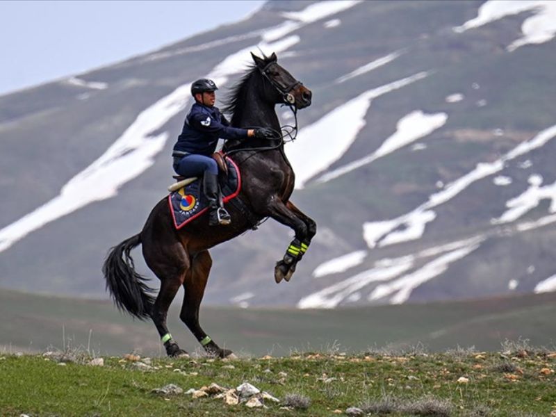 Atlı Jandarma Timi Sınır Hattındaki Arazilerde Devriyede VAN-BHA Yaz aylarında