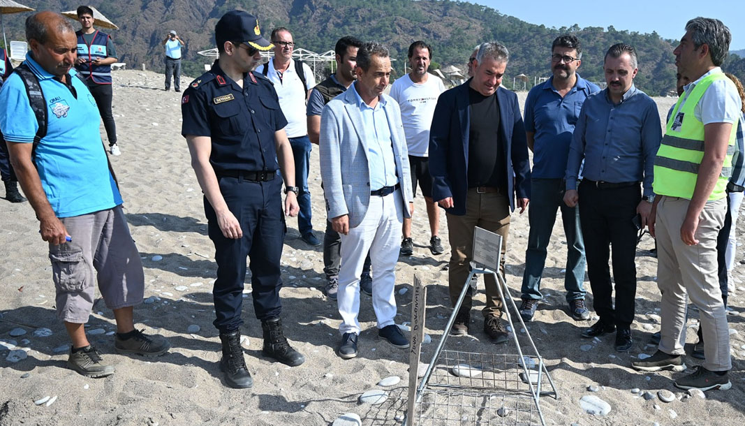 Antalya’da “caretta ceratta ilk yuva” etkinliği düzenlendi BHA-ANTALYA Akdeniz sahillerindeki