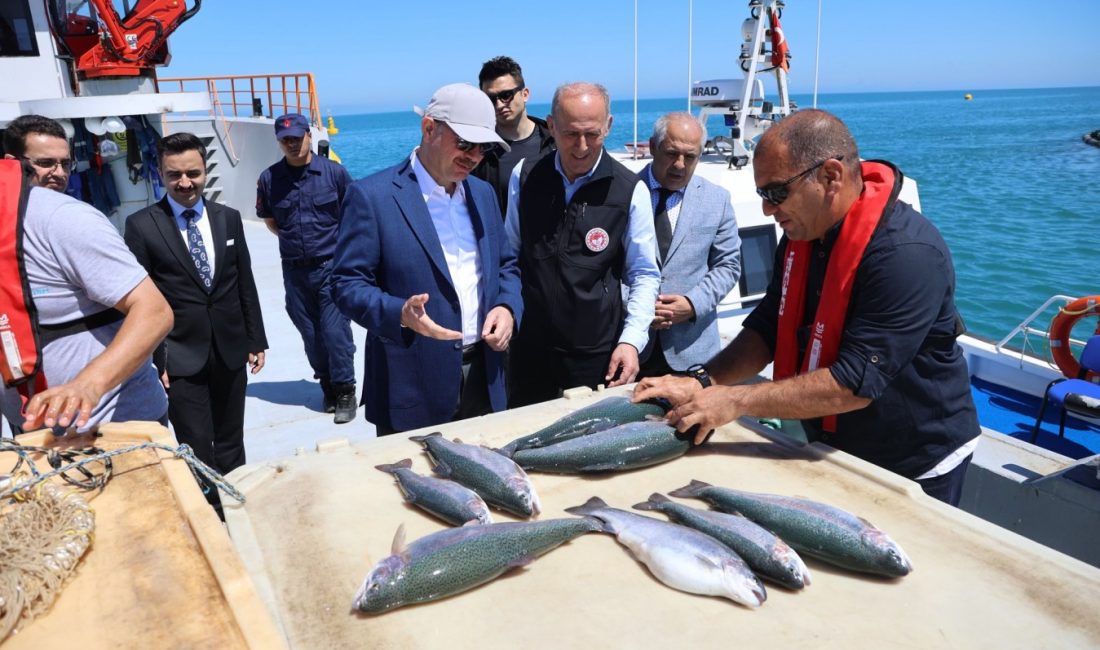 “Türk somonu, Rusya ve Japonya’ya ihraç edilecek”
Giresun’da kafeslerde su ürünleri yetiştiriciliği yapan tesiste Türk
