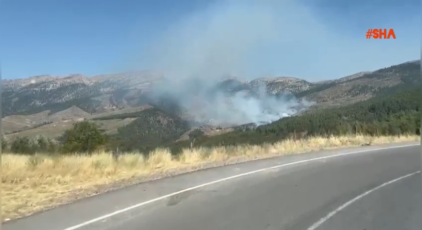 Kahramanmaraş’ta orman yangını