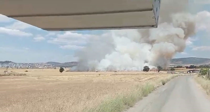 Pazarcık’ta bin dönümlük ekili alan yangında zarar gördü