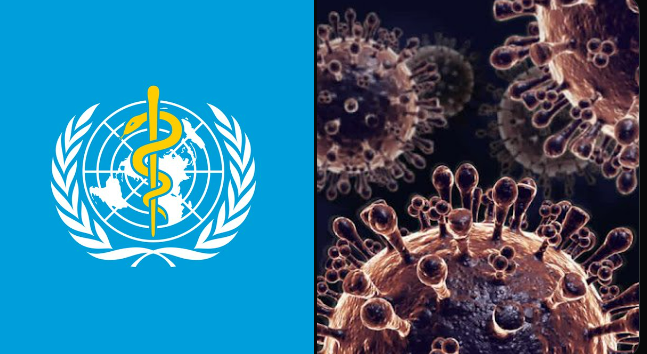   Dünya Sağlık Örgütü (DSÖ) Kuş Gribi (H5N2) sebepli