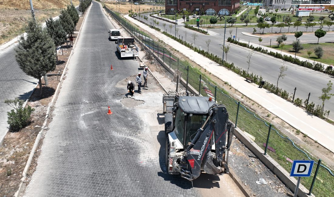 Büyükşehir, Organize Sanayi ve